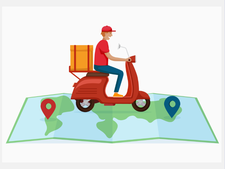 Domestic & International Couriers